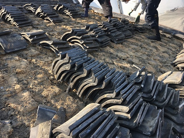 瓦をめくっています。