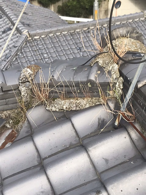 雑草棟　枚方市