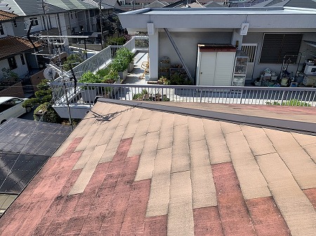 色違いのカラーベスト