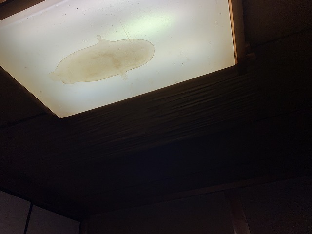 雨漏り　交野市