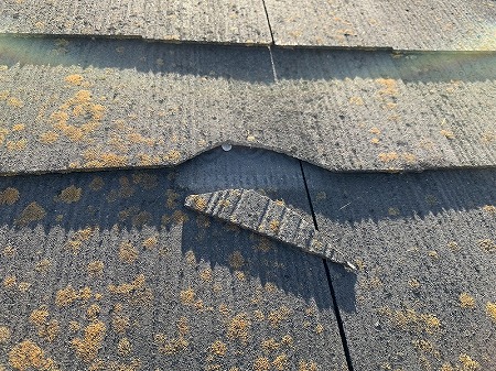 カラーベスト釘浮きからの割れ