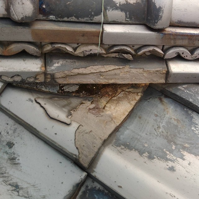 隅棟下凍て　交野市