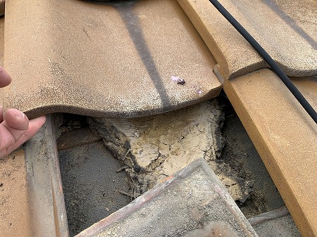 瓦の下の土は少し濡れています。