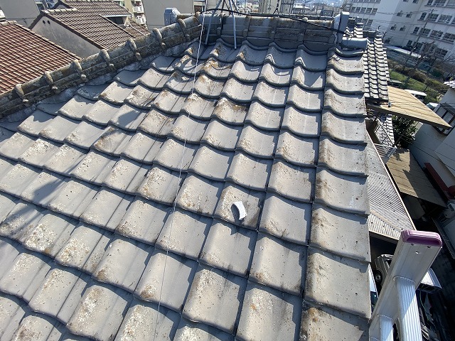 セメント瓦　大東市