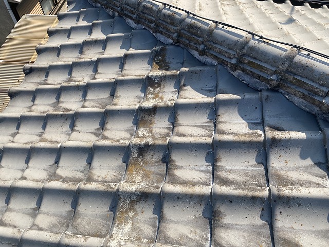 表面コケ　大東市