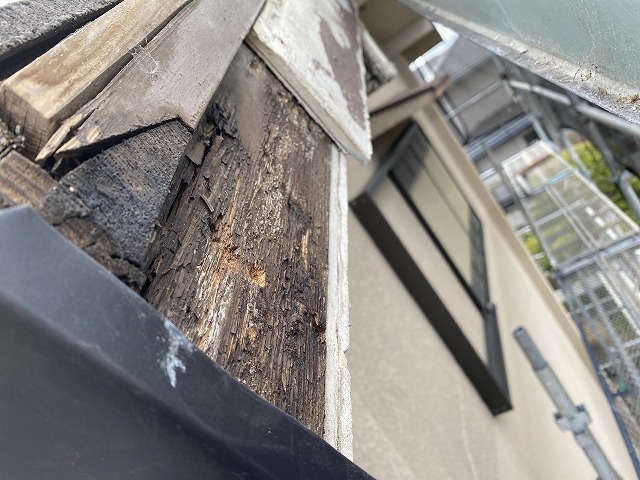 ケラバ破風　交野市