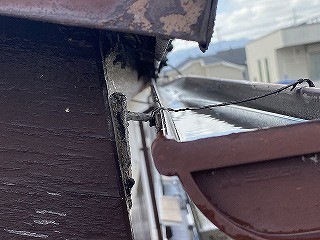 軒先金具　伊丹市