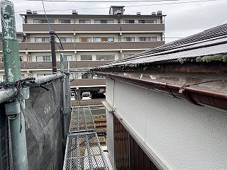 軒先コケ　伊丹市