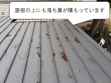 守口市 屋根の上に落ち葉が積もっている