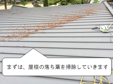 守口市 屋根の落ち葉掃除