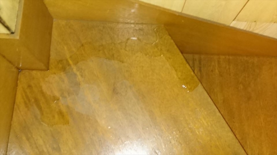 雨漏り箇所、屋上から続く階段