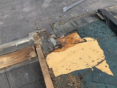 カラーベスト撤去