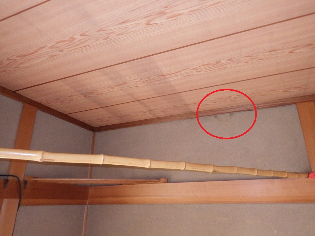 雨シミ　海老江