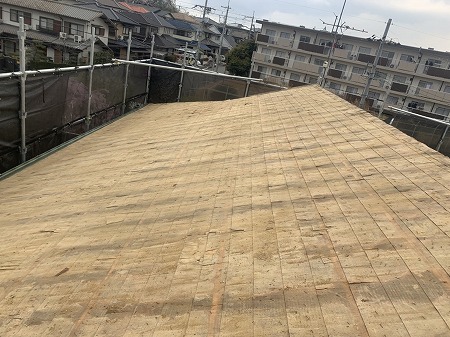 野地全面の確認