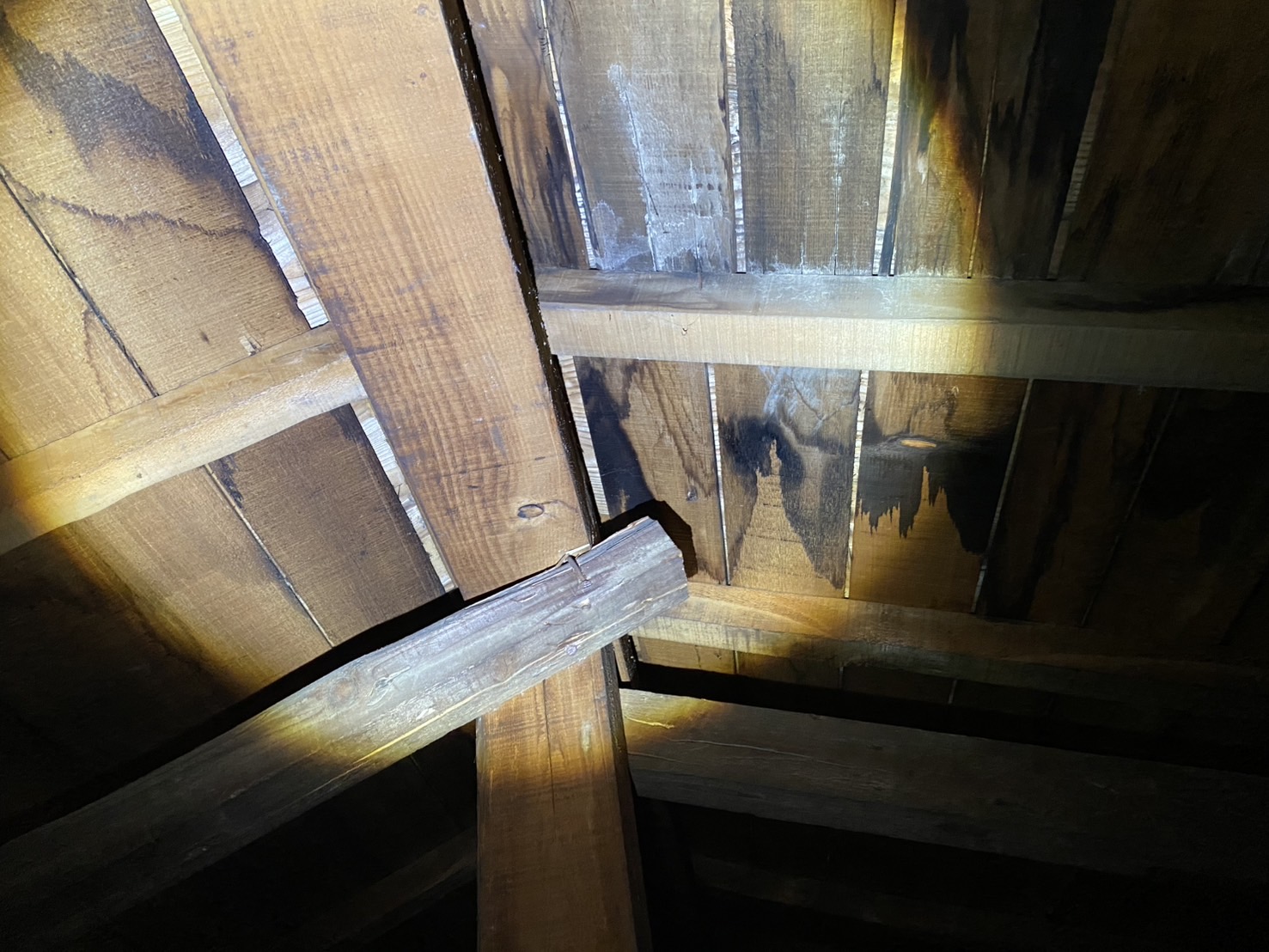 門真市雨漏り天井裏