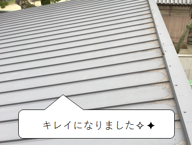 守口市　屋根の上の落ち葉掃除