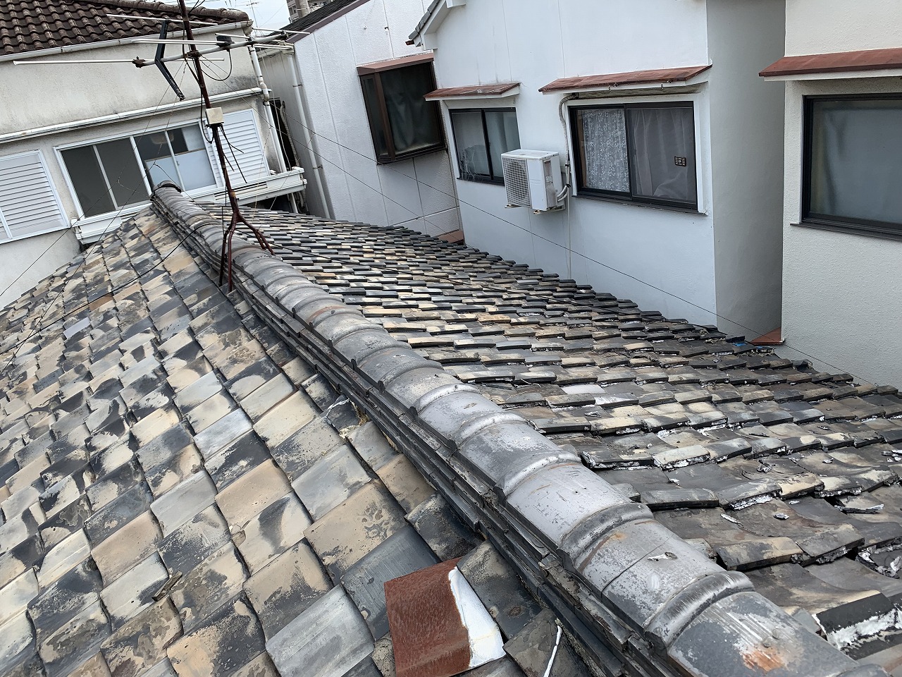 寝屋川市種修繕跡