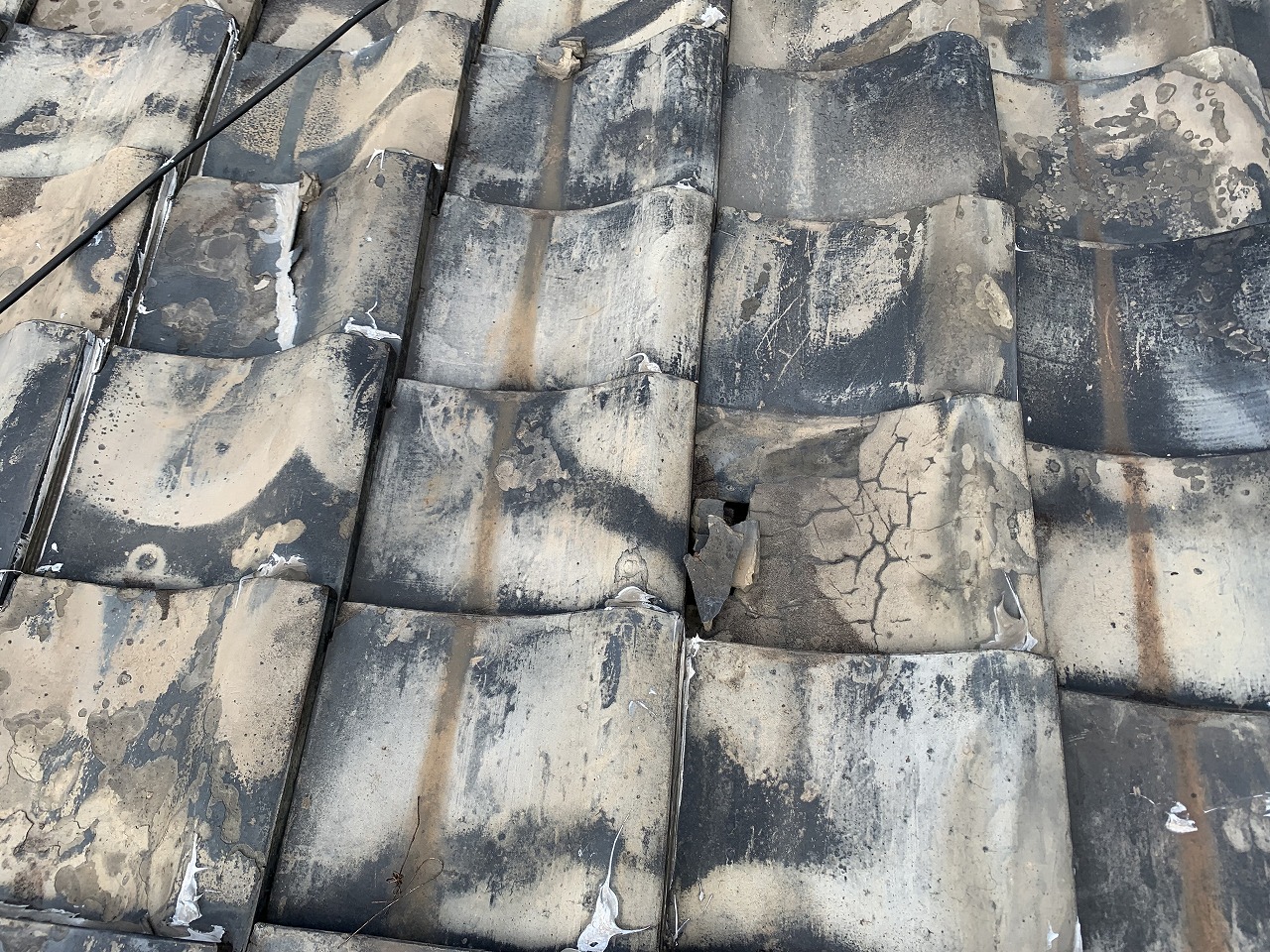 寝屋川市地瓦劣化