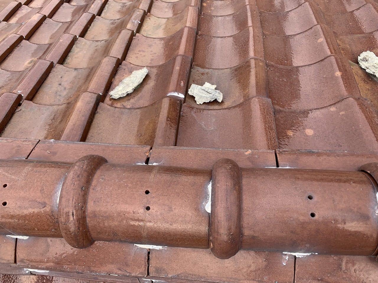 門真市漆喰剥がれ