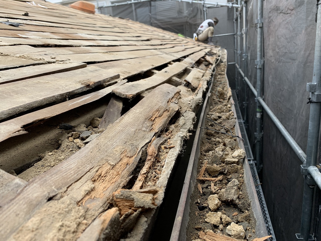 寝屋川市下地木材腐敗