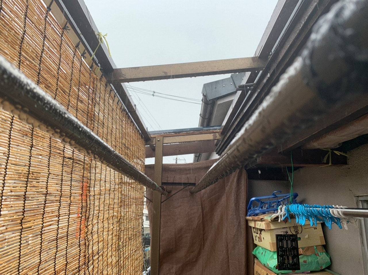 枚方市波板調査