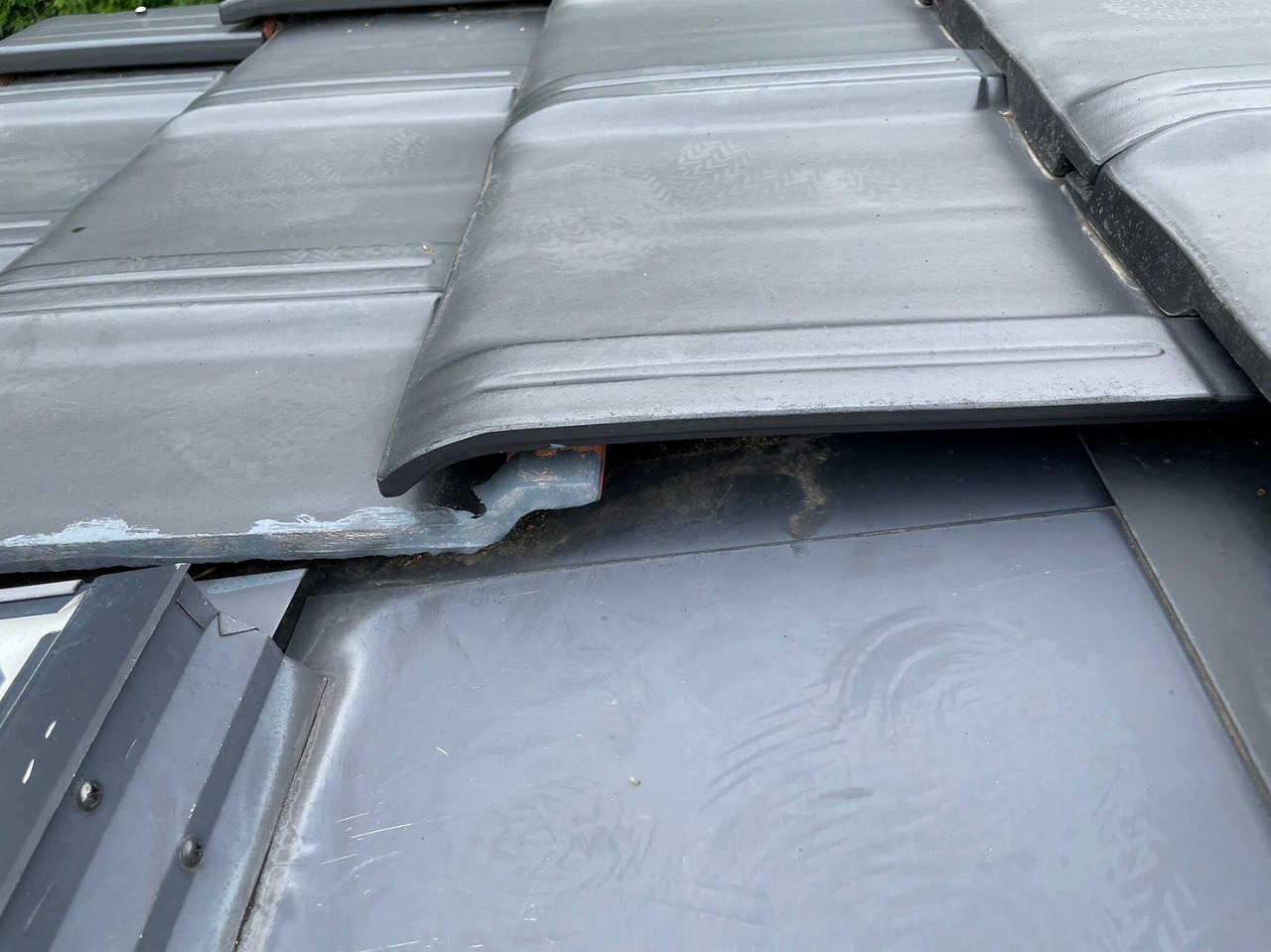 高槻市屋根掃除