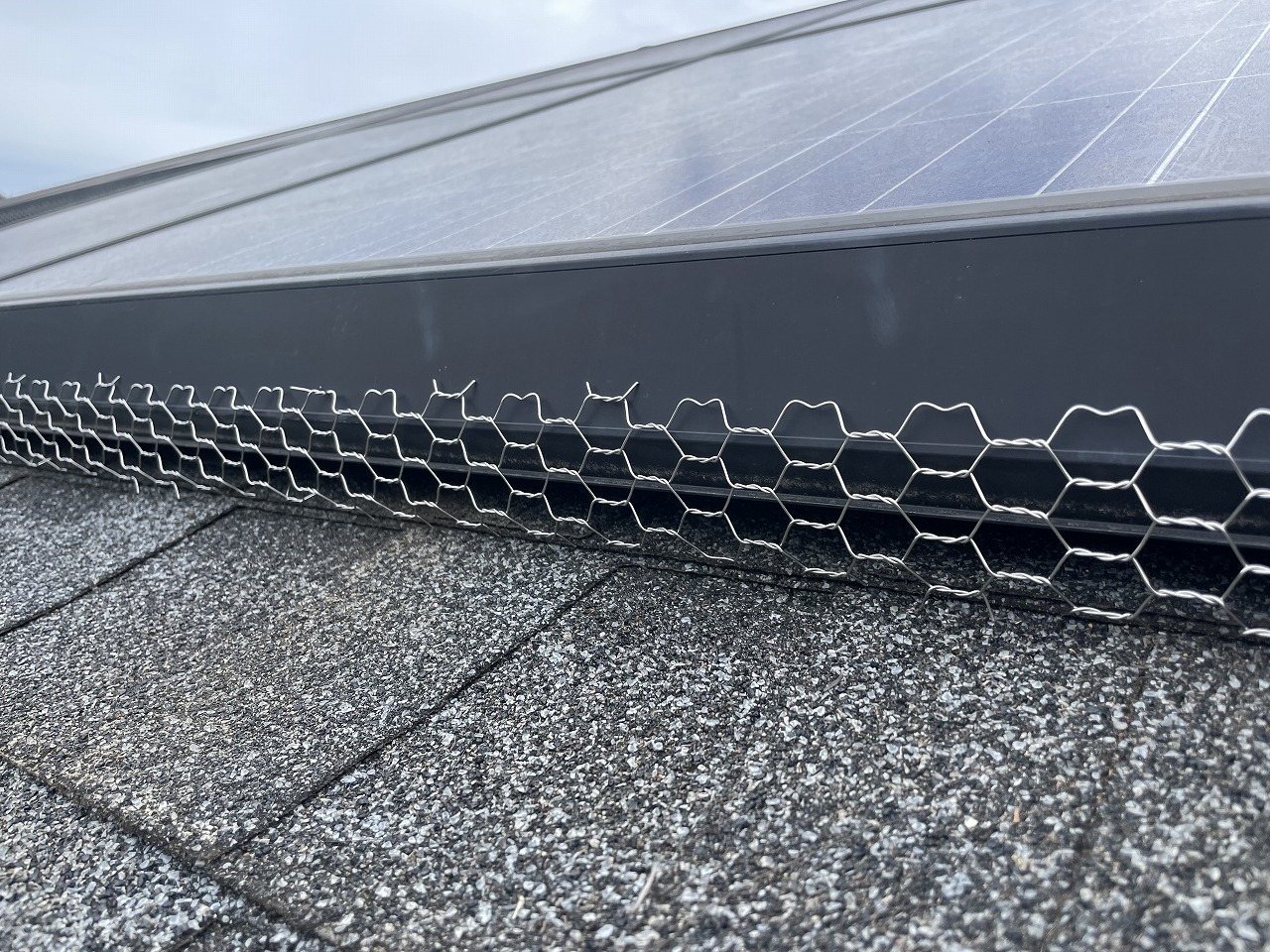 交野市防鳥工事