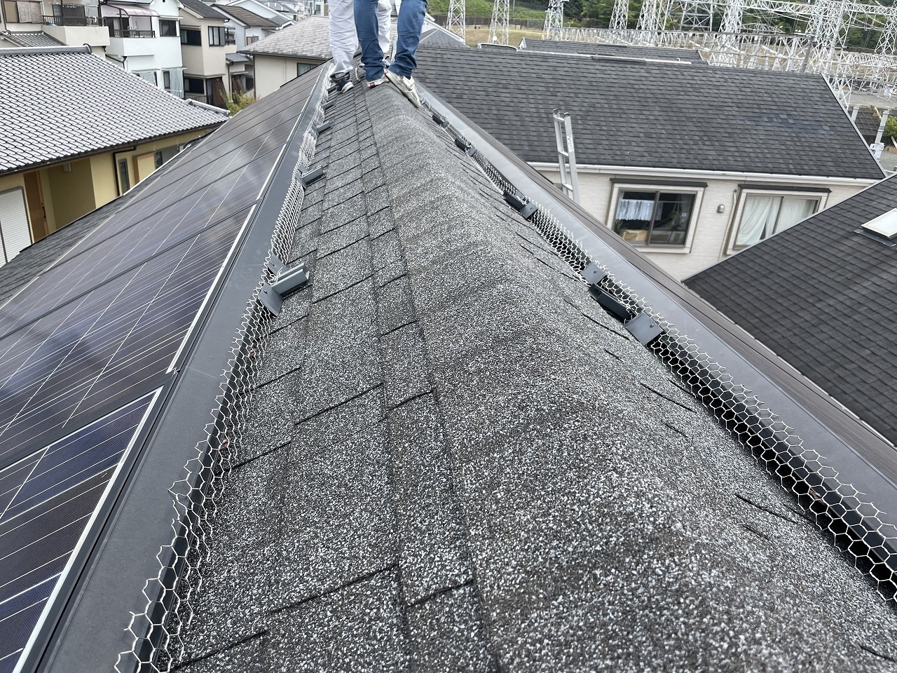 交野市防鳥ネット
