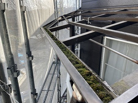 バルコニー屋根レール苔
