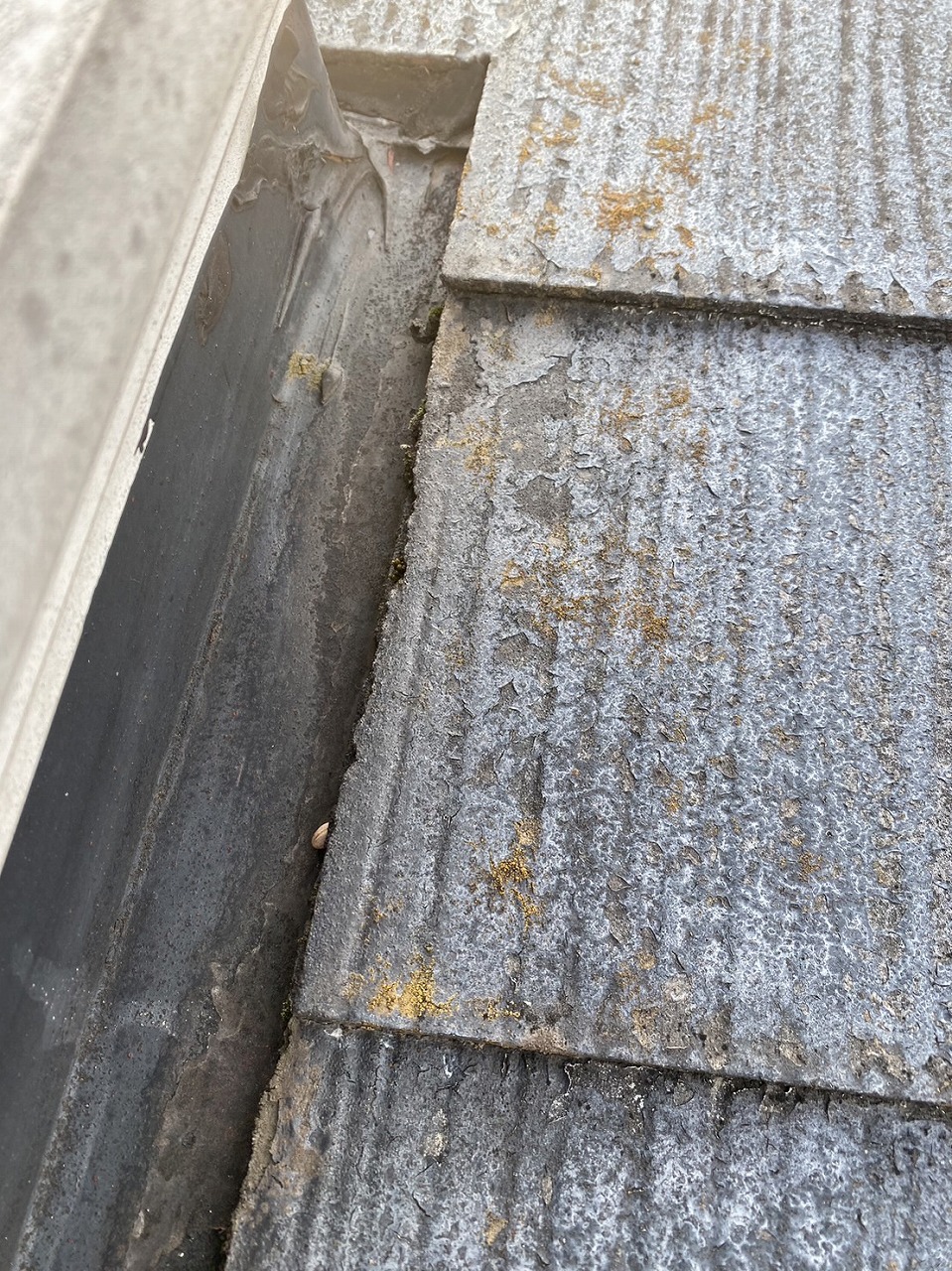 トップライト廻りコーキング