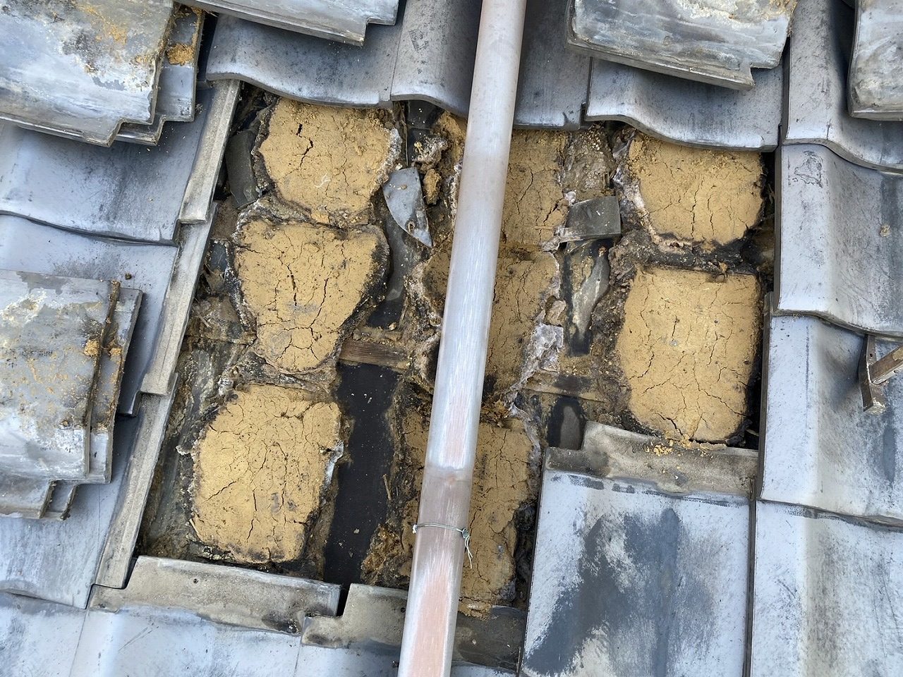 門真市雨漏り確認