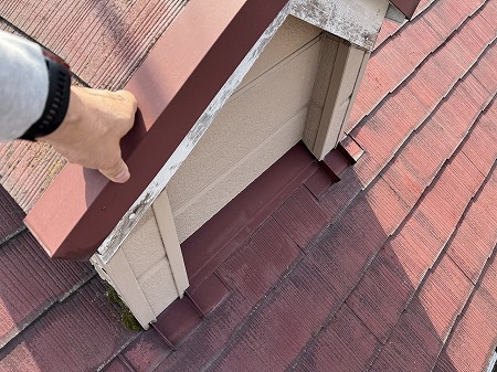 ドーマ側面に苔