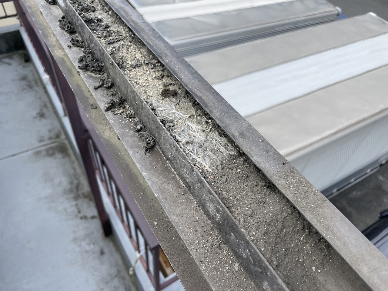 門真市ベランダ汚れ