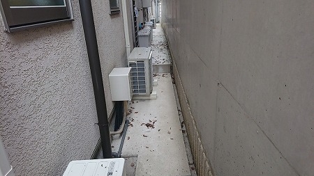 地面に落ちた枯葉も掃除します。