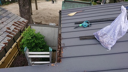 ち葉落ち葉を集めて取り除きます。