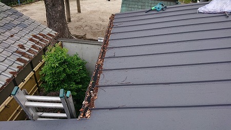 ガッツリ落ち葉が溜まっています。