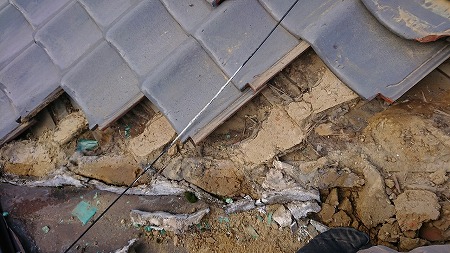 谷部の土が湿っている