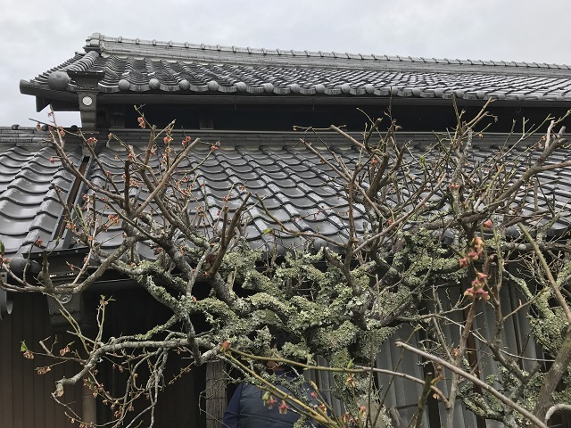日本家屋の下屋根全景