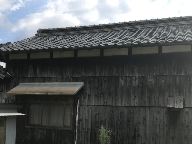 しぶき板外壁の調査全景