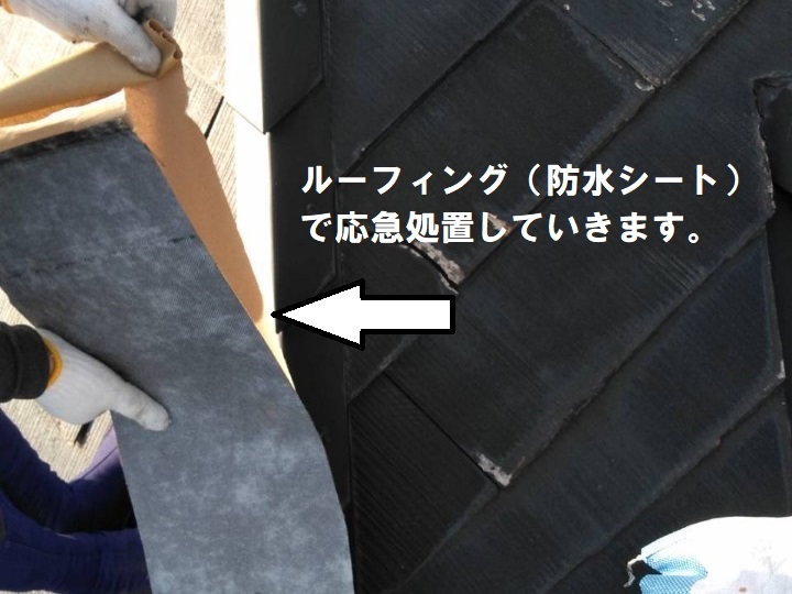 防水シート　棟　