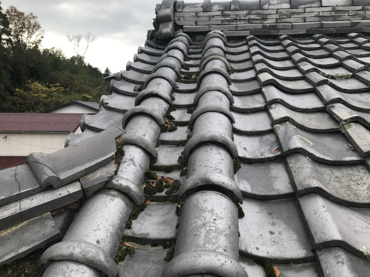 伊賀市 丸流し 苔が生えている