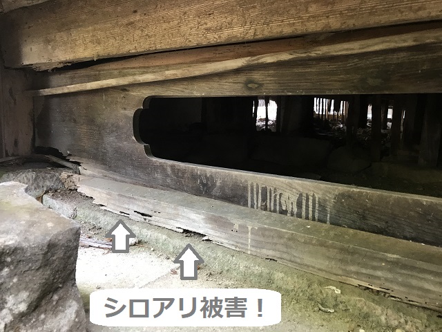 伊賀市　軒下　シロアリ被害