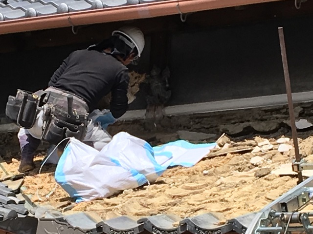 伊賀市　日本家屋瓦おろし
