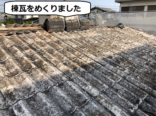 棟　波板セメント瓦