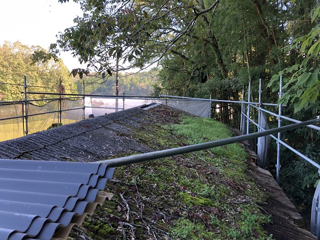 伊賀市　倉庫屋根　コケ