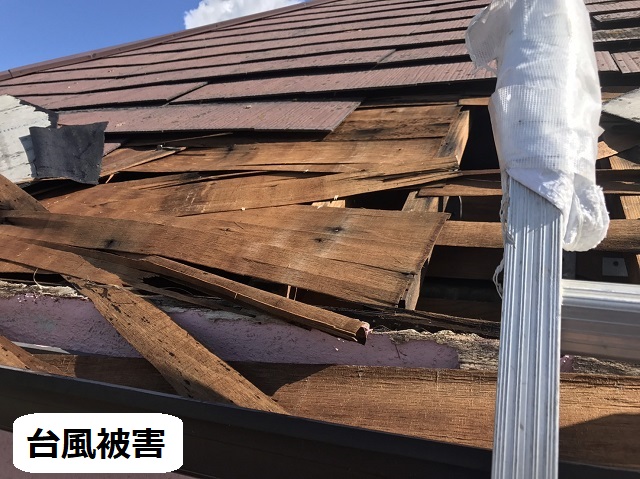 名張市　野地板　損壊