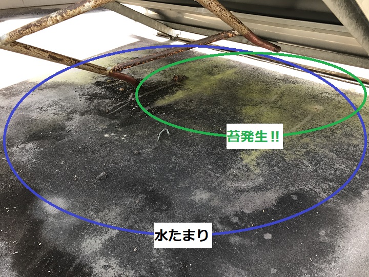 伊賀市　陸屋根に苔が生える