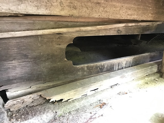 伊賀市 床下 シロアリ被害