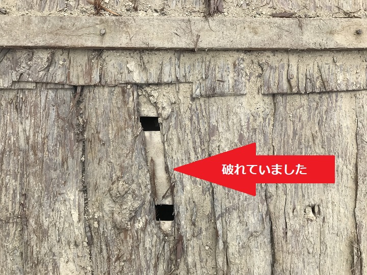 伊賀市　杉皮が破れている