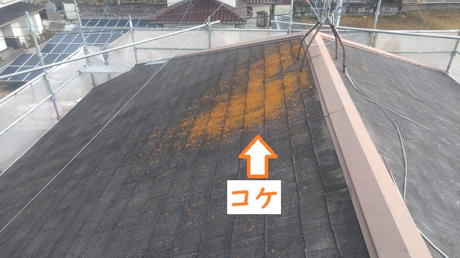 名張市　スレート屋根　コケ